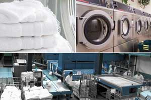 Ozone Laundry System